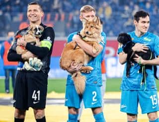 «Собакам лучше дома!» — социальная акция футбольного клуба «Зенит»