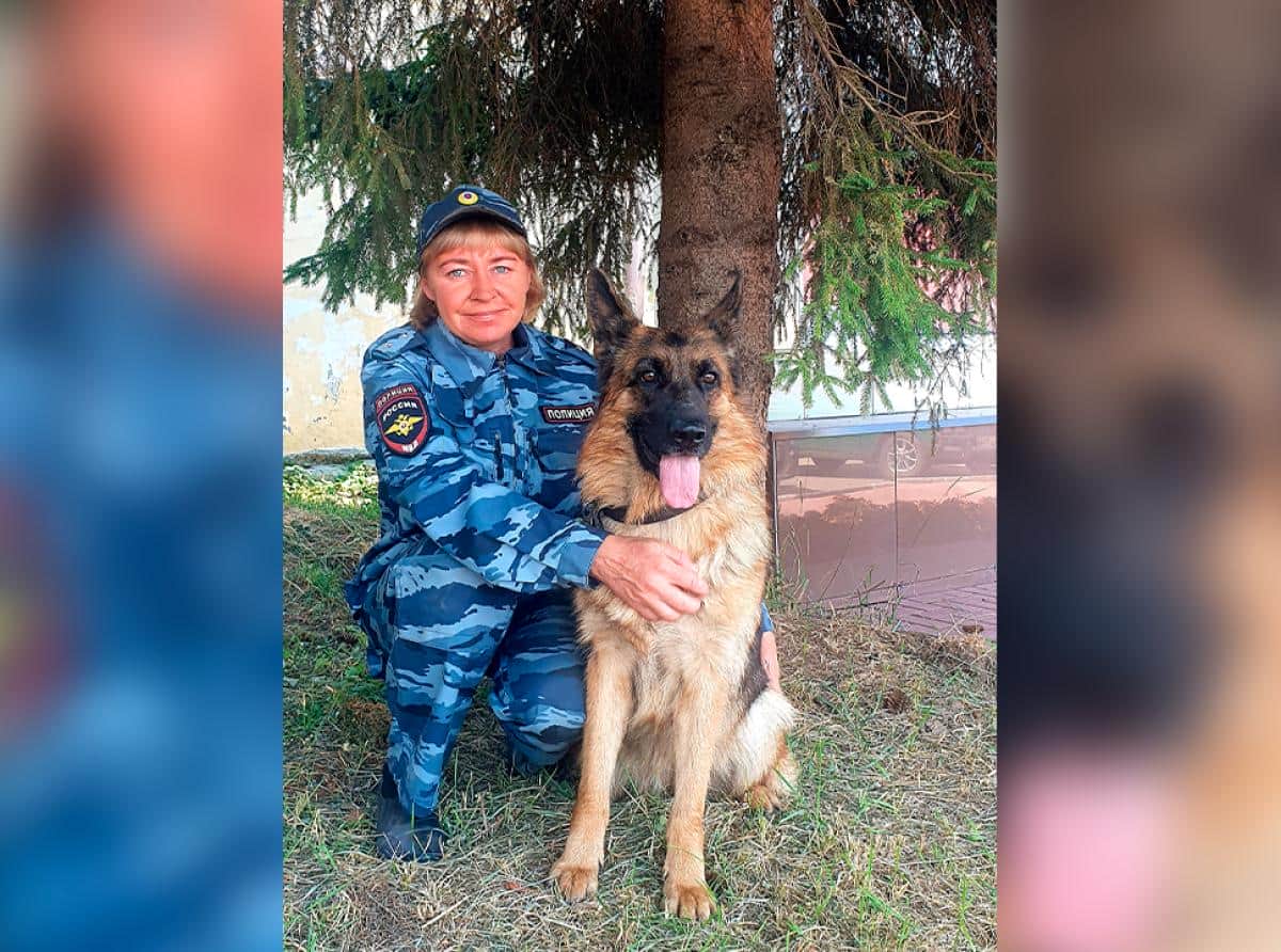 Полицейская собака Варя нашла исчезнувшую старушку