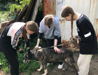 Сестры-двойняшки подарили надежду бездомным животным в Рязани 