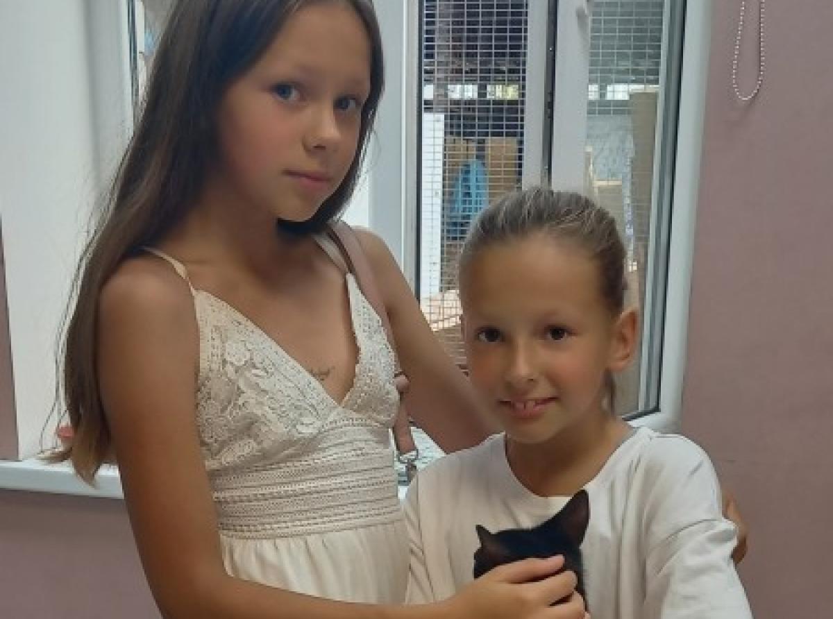Sisters from Kaliningrad raised money to save a kitten