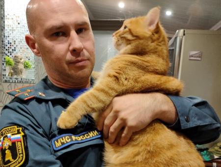 Дознаватель МЧС сам спас кота и сэкономил время спасателям