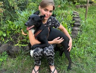 Жительница Башкирии построила приют для бездомных собак во дворе своего загородного дома
