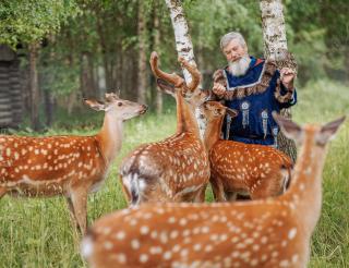 Василий Васичкин выкормил более 10 пятнистых оленят – сирот и стал для них новой мамой