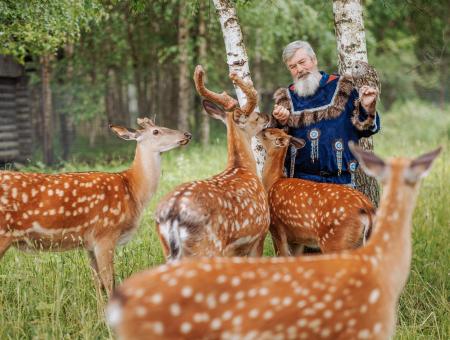 Василий Васичкин выкормил более 10 пятнистых оленят – сирот и стал для них новой мамой