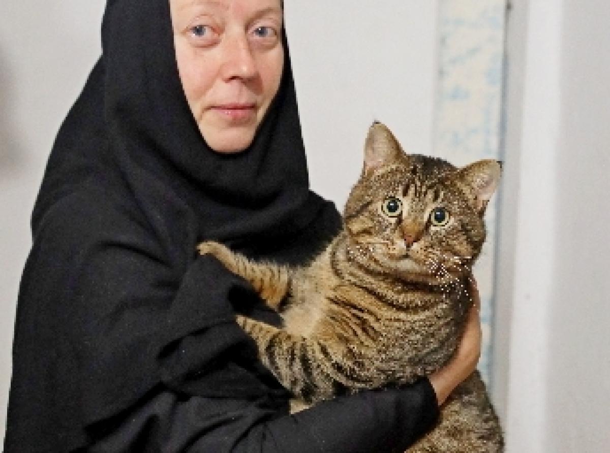 Монахиня мужского Задонского Рождество-Богородицкого монастыря 30 лет спасает бездомных кошек