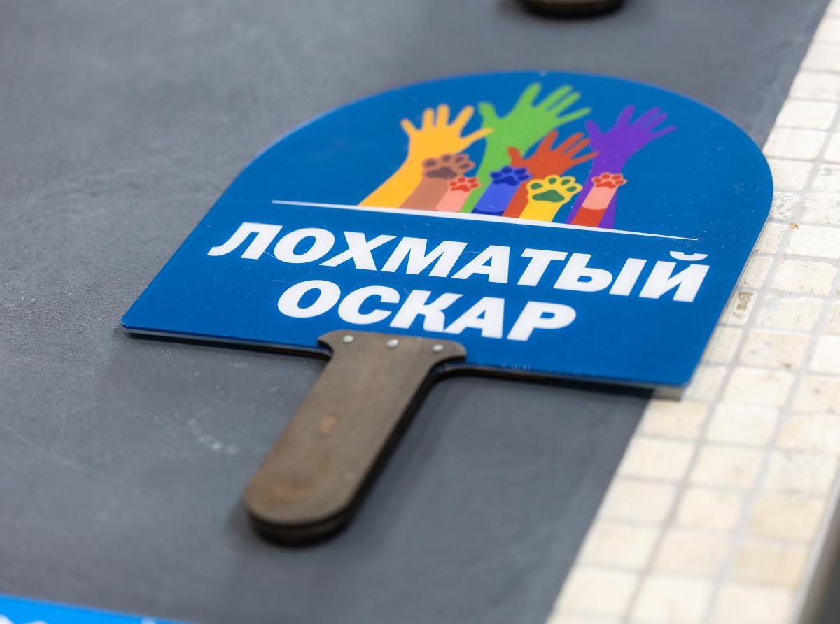 We announce the jury of the seventh season of the Award!