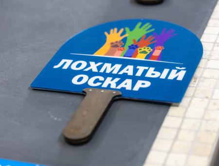 We announce the jury of the seventh season of the Award!