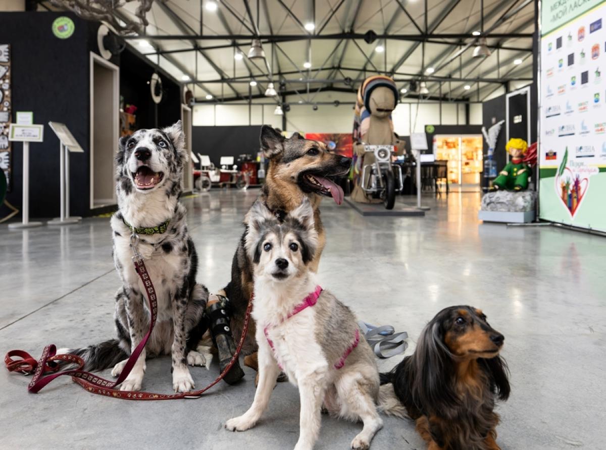 Место и время встречи изменить нельзя!