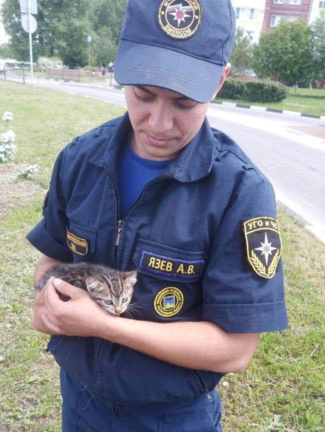 Спасатель из Белгорода забрал домой котёнка, попавшего в беду