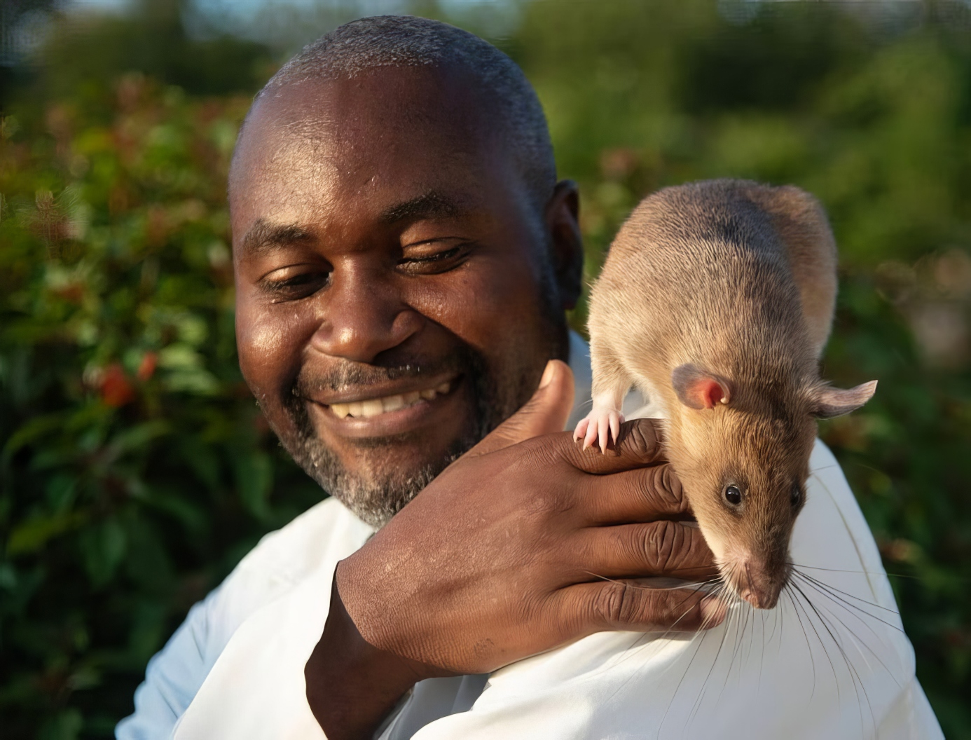 21. Carolina the Marsupial rat (Tanzania)