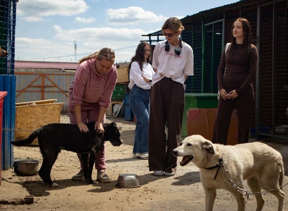 18. Omsk Tails Shelter (Omsk)