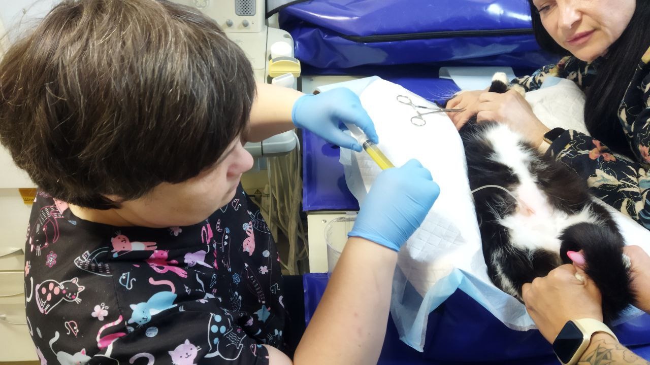 02. Staff of the veterinary clinic 