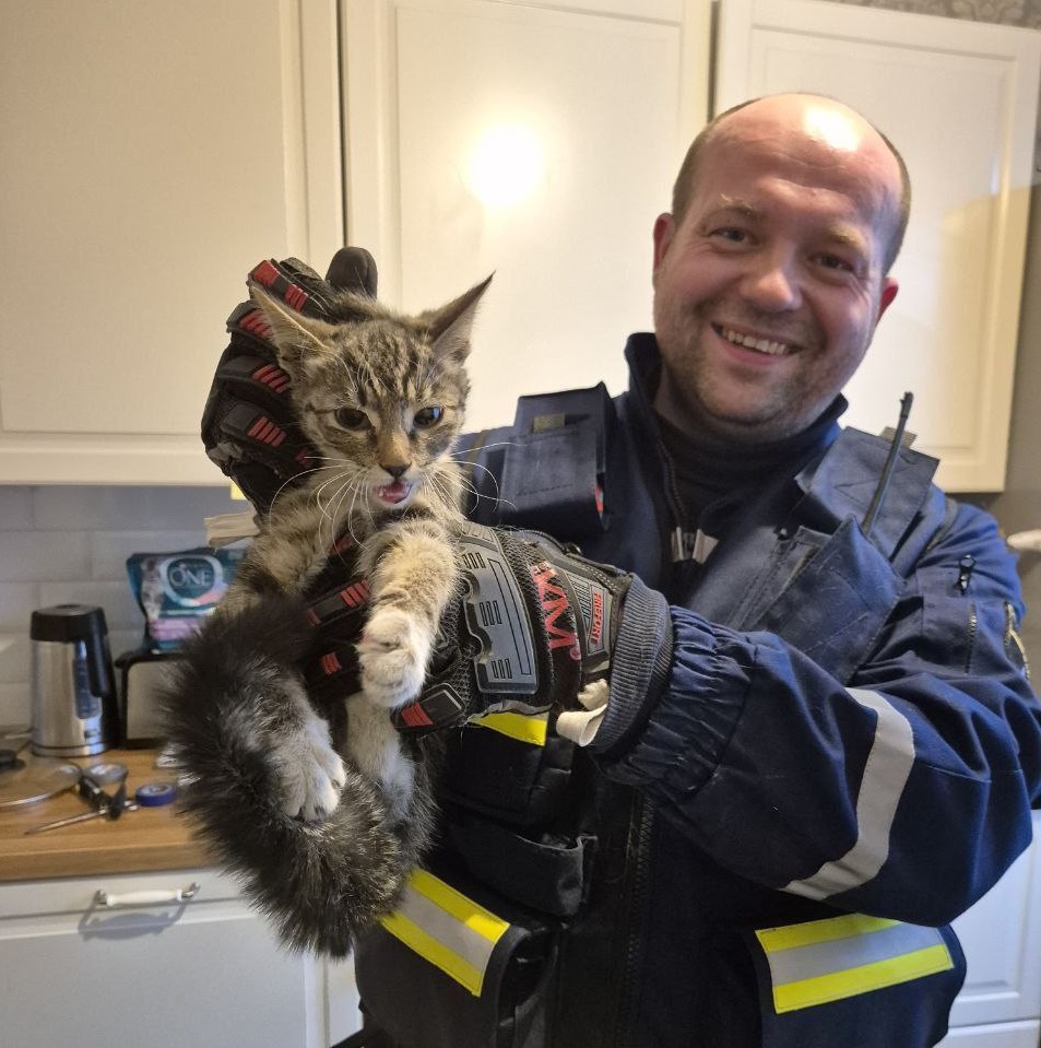 24. Public search team 