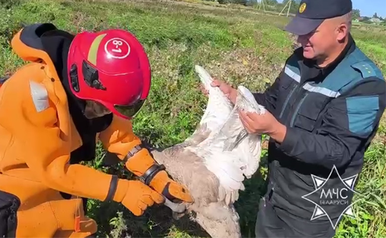 27. Rescuers of the Ministry of Emergency Situations of the Republic of Belarus (Minsk)