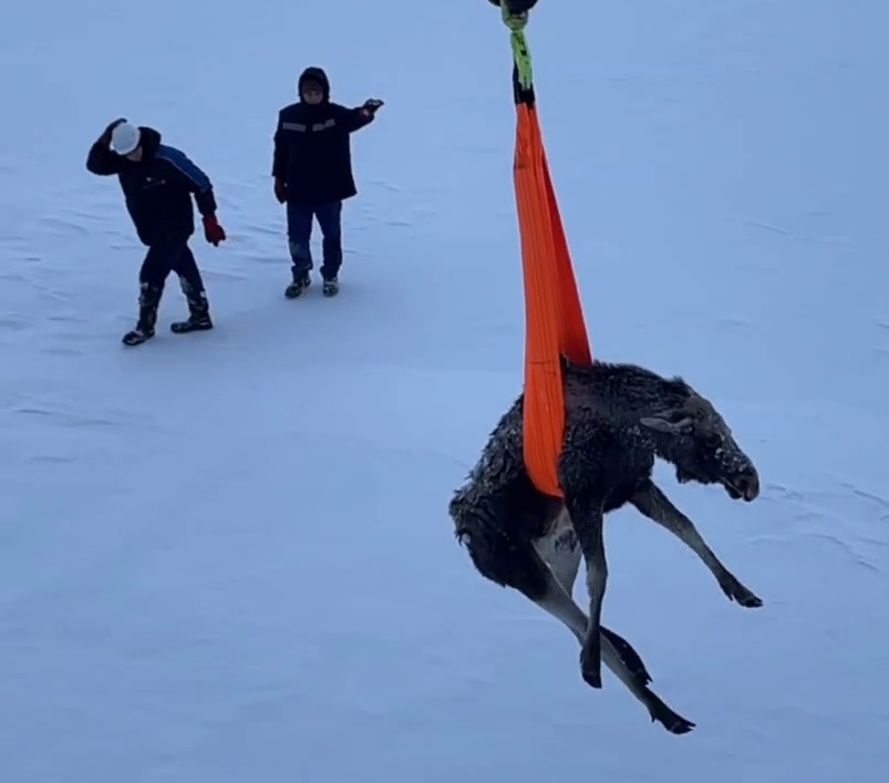 03. The crew of the icebreaker Yakutia (Murmansk)