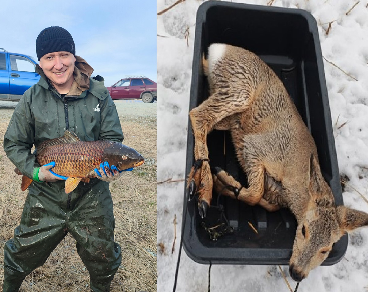 32. Ilya Zaitsev (Novosibirsk region)