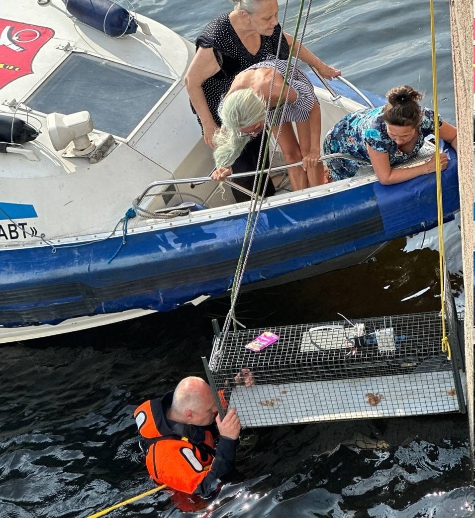 04. KOSHKISPAS Animal Rescue Service (Saint Petersburg)