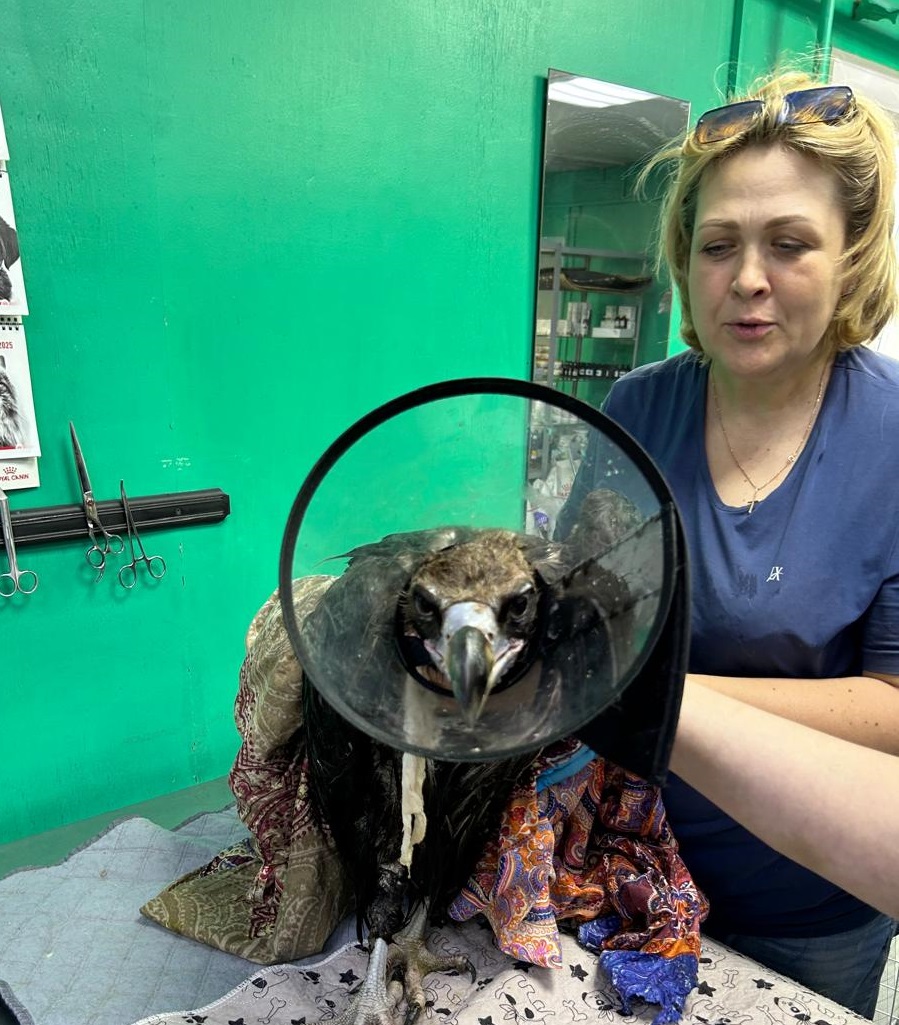 07. Animal Protection Society 