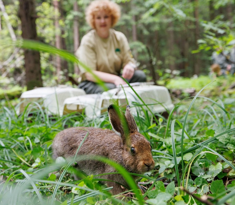 09. The House of the Hare Center (Moscow)