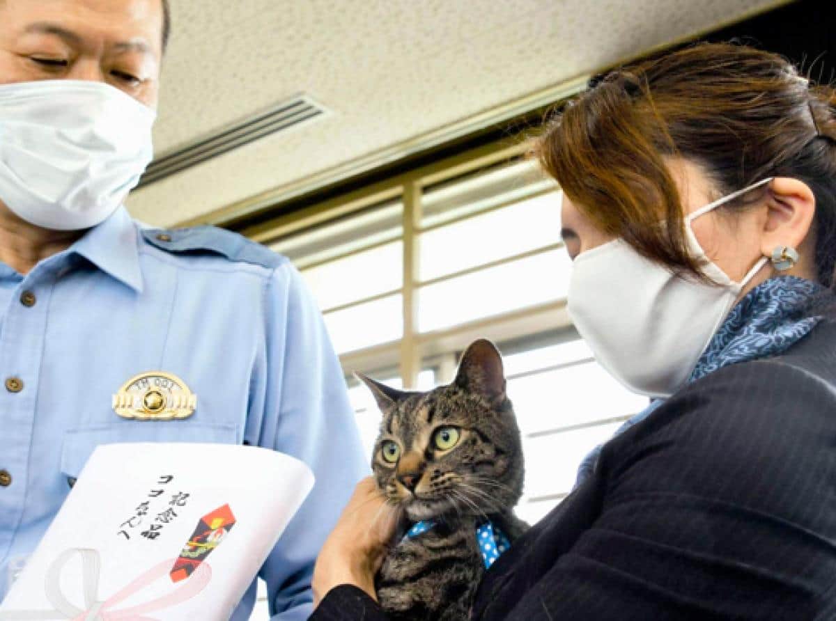Кошка Коко из Японии спасла мужчину и на день стала начальником полиции
