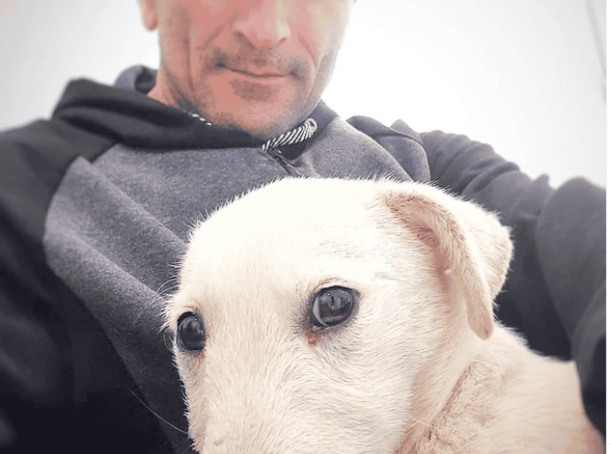 Али Курбанов из Дагестана спасает искалеченных собак