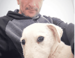 Али Курбанов из Дагестана спасает искалеченных собак