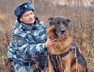В Йошкар-Оле полицейский пёс Портекомаро нашёл замерзавшего человека