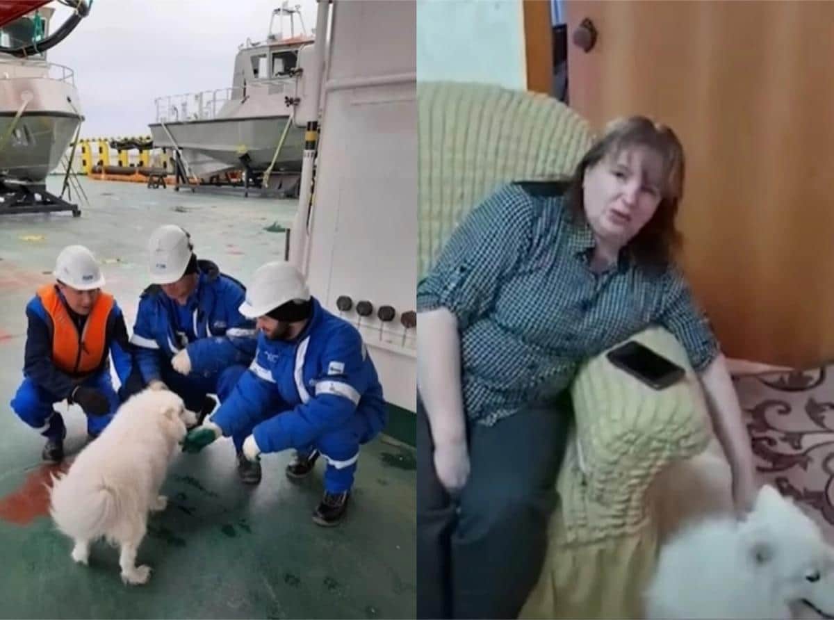 Экипаж ледокола «Александр Санников» помог собаке выбраться из арктических льдов
