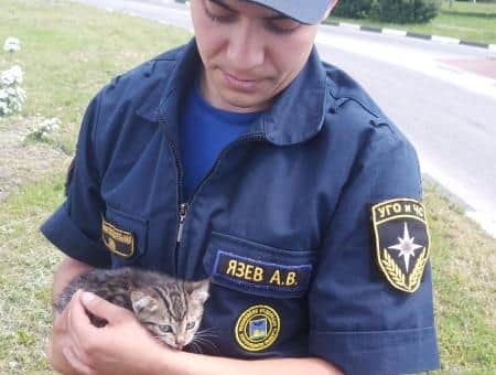 Спасатель из Белгорода забрал домой котёнка, попавшего в беду