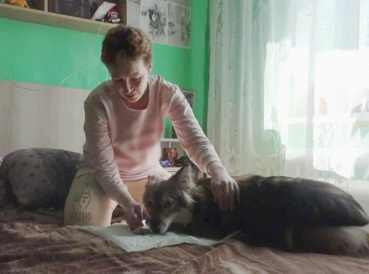 Собака Люсия из Челябинской области выходила котят и морскую свинку