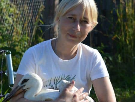 «Дом для белого аиста»: под Псковом волонтёры спасают птиц