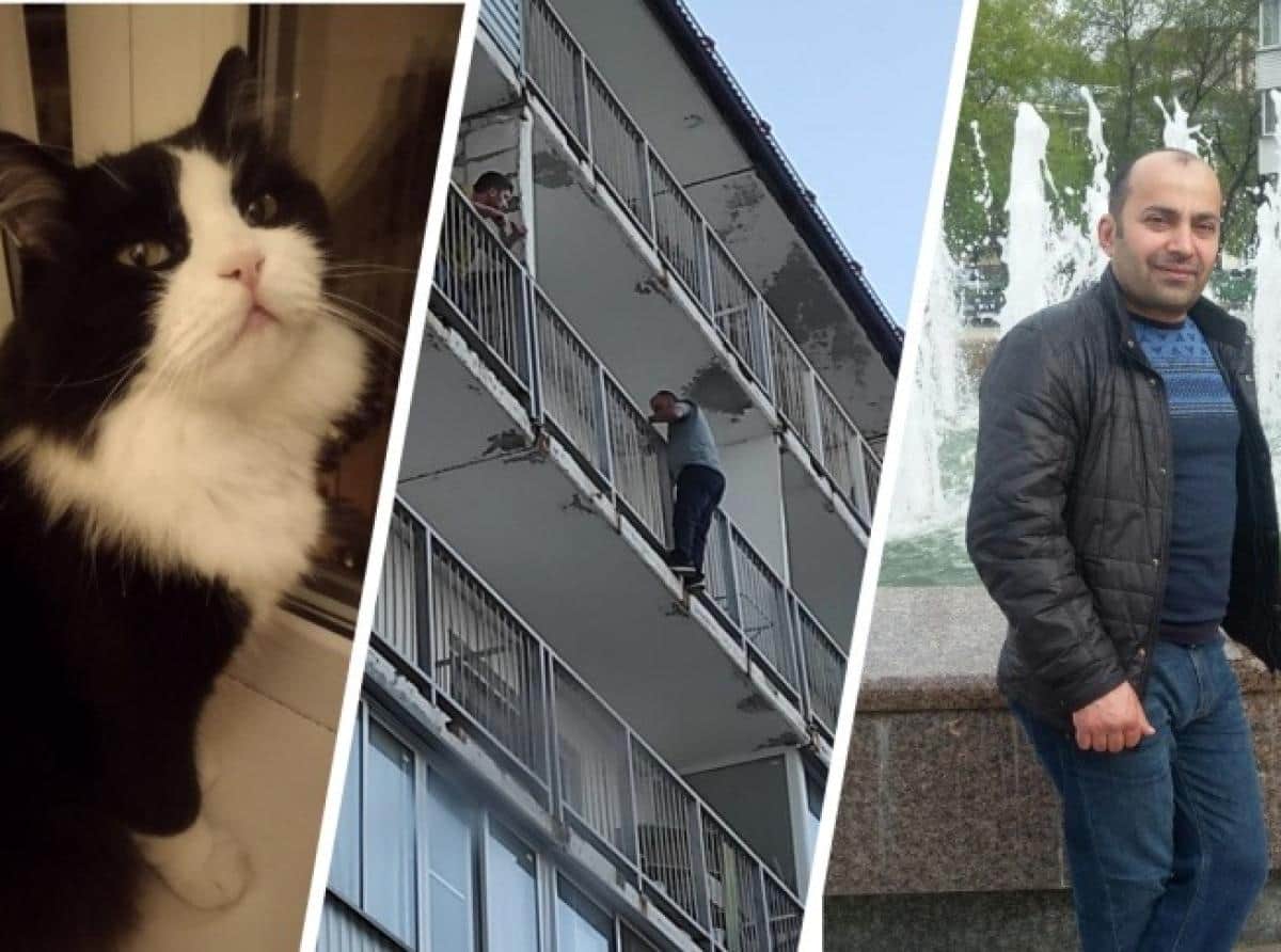 Житель Новосибирска перелез через балконы на 9-м этаже, чтобы спасти чужую кошку