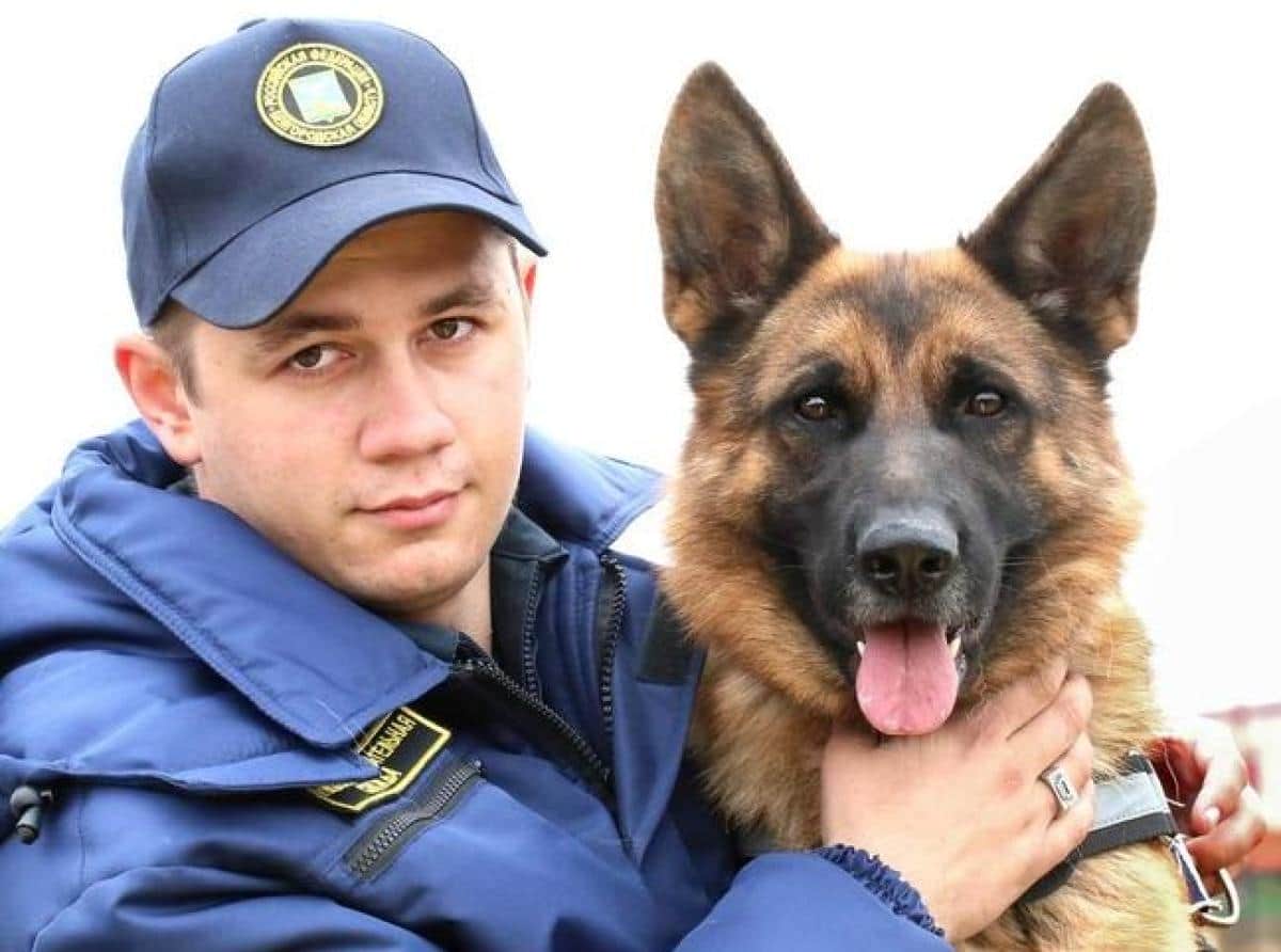 Добрая Герда: собака, которая помогает спасать белгородцев
