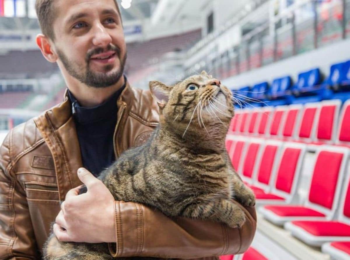 «Аэрофлот» начал переговоры о перевозке толстых котов