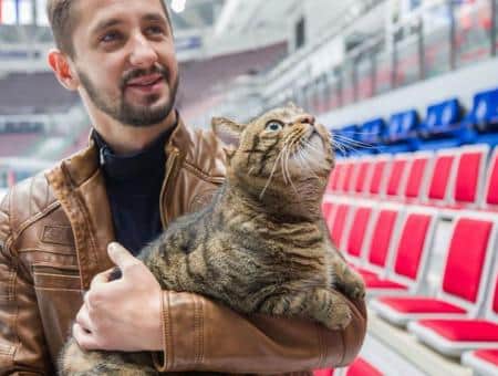 «Аэрофлот» начал переговоры о перевозке толстых котов