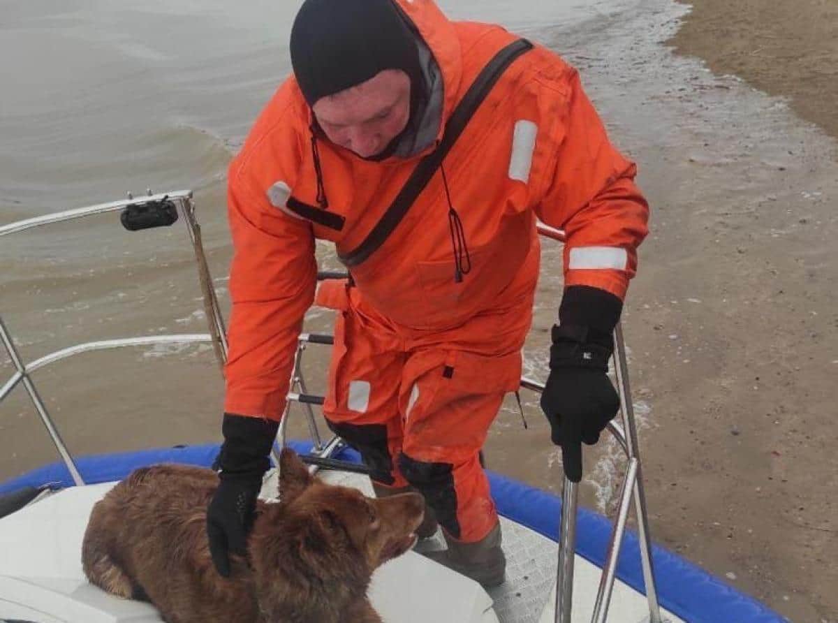 В Казани спасатели помогли собаке выбраться с плывущей льдины