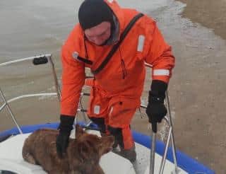 В Казани спасатели помогли собаке выбраться с плывущей льдины
