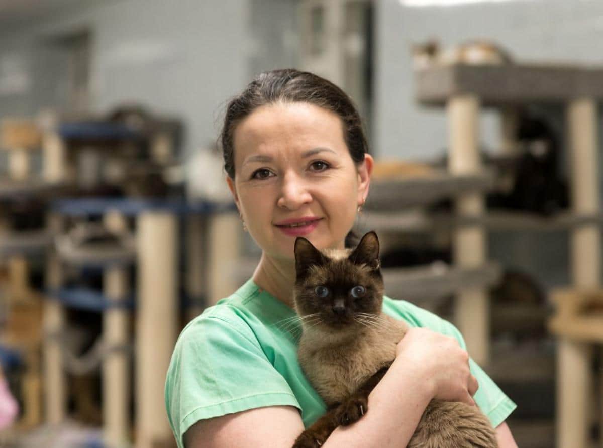 Наталия Авласевич из Санкт-Петербурга создала один из самых крупных в России приютов для кошек неклеточного типа