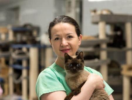 Наталия Авласевич из Санкт-Петербурга создала один из самых крупных в России приютов для кошек неклеточного типа