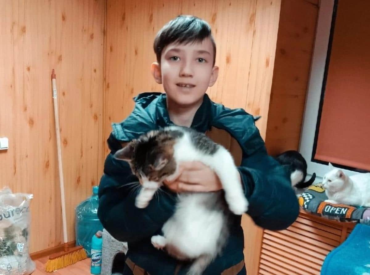 Пятиклассник из Городца ищет новых хозяев кошкам и собакам
