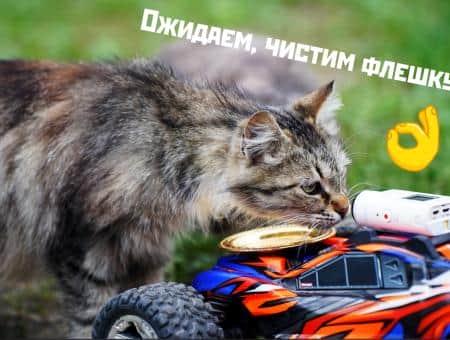 Житель Сочи Игорь Донченко кормит бездомных животных с помощью «Машинки добра»