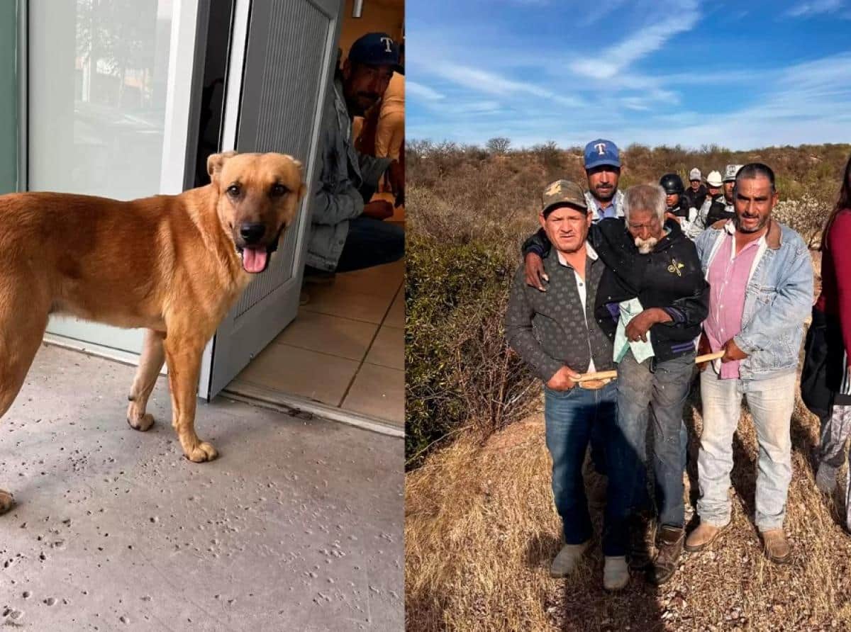 В Мексике пёс Паломо отыскал своего пропавшего 84-летнего хозяина 