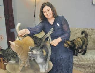 Липчанка Валентина Нурисламова пристраивает в хорошие руки кошек и собак