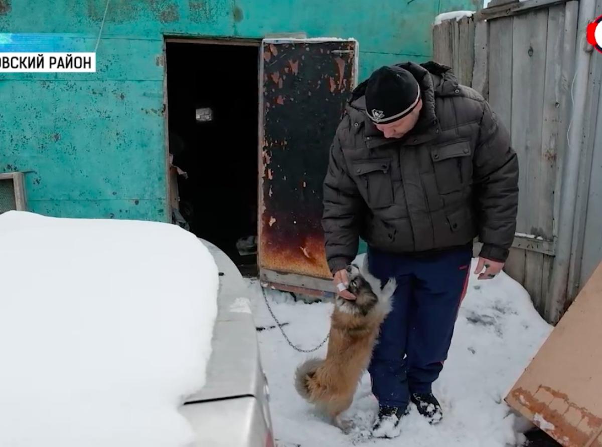 Алиса челябинская область