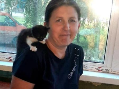 Швы разошлись, везде была кровь:  жительница Городца спасла кошку после неудачной операции 