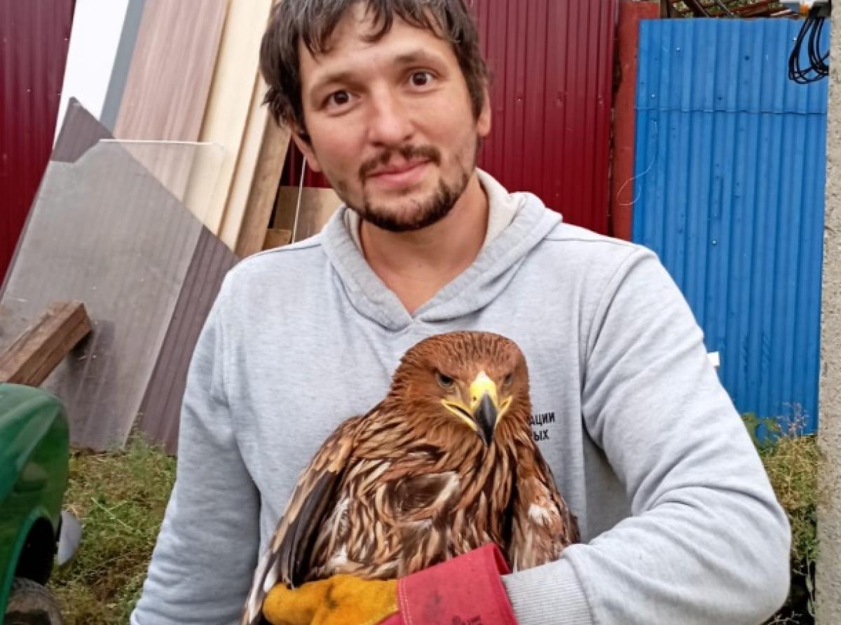 В Башкирии спасли орла-могильника, которого подстрелили неизвестные