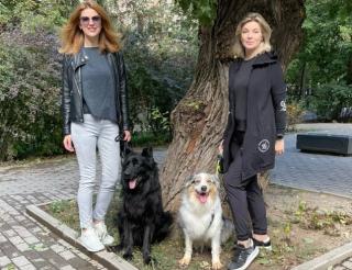 Подруги придумали в Московской области счастливую пенсию служебным собакам