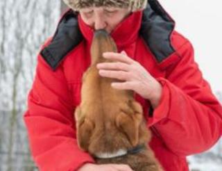 В селе Колчаново Ленинградской области семья спасает и выхаживает бездомных собак