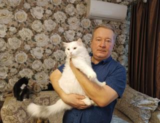 Семья из Санкт-Петербурга уже много лет спасает и лечит бездомных кошек