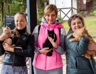  На побережье Балтики местные девушки три года спасают бездомных кошек и помогают им найти дом 